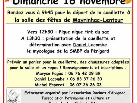 LA JOURNEE DES CHAMPIGNONS