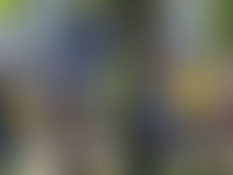 Le vélo dans tous ses états !