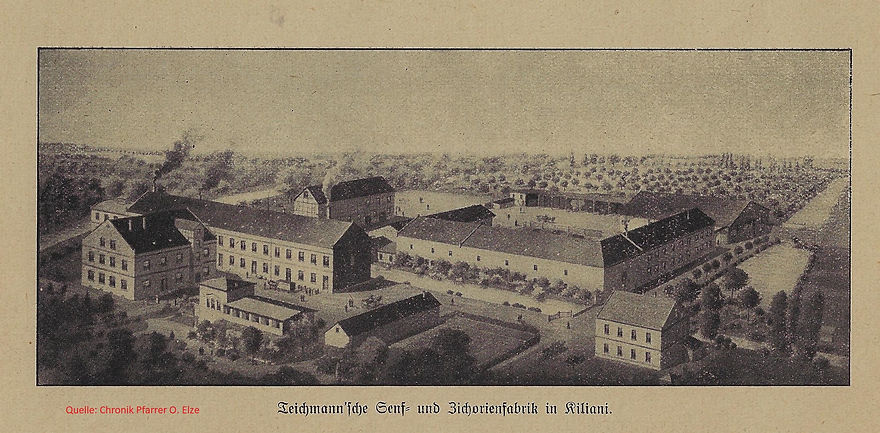 Caesar Teichmann I Chronik O. Elze