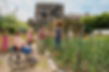 Individuals of diverse physical ability, age and ethnicity in a community garden