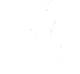 ninjutsu kanji wallpaper