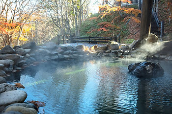IT_tip244t008794_l_edited.jpg