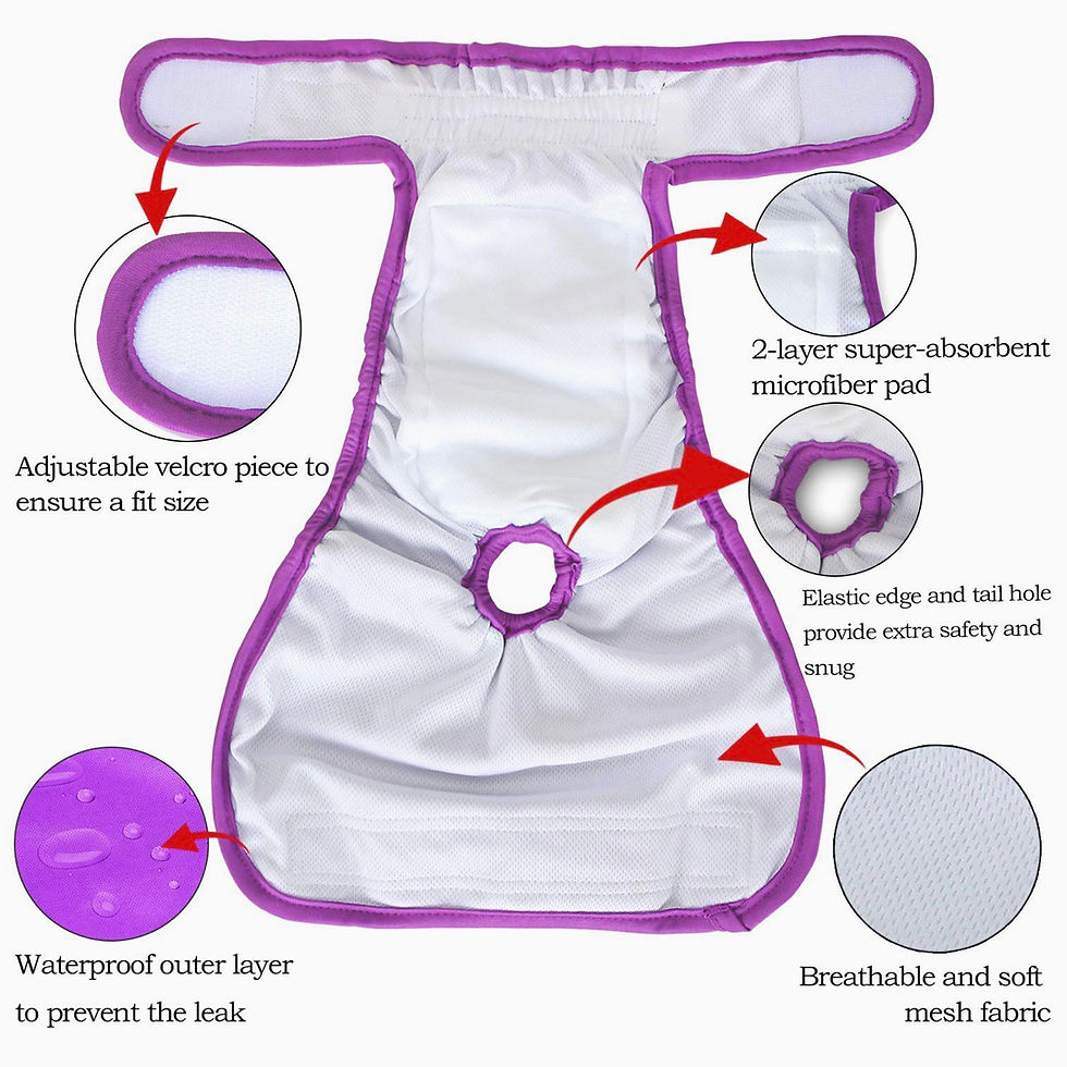 Thumbnail: Teamoy Female Dog Diapers