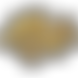 Bàn Xià 半夏 Pinellia ternate