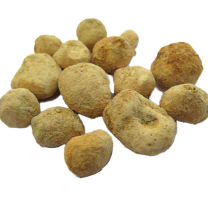 Bàn Xià 半夏 Pinellia ternate