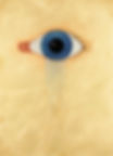 -Perforated Tear Duct-