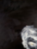 -Peekaboo-