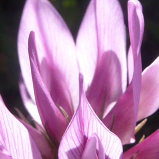 Chambres D'hôtes et Cours De Poterie | Au Barbouillon | Allevard, France