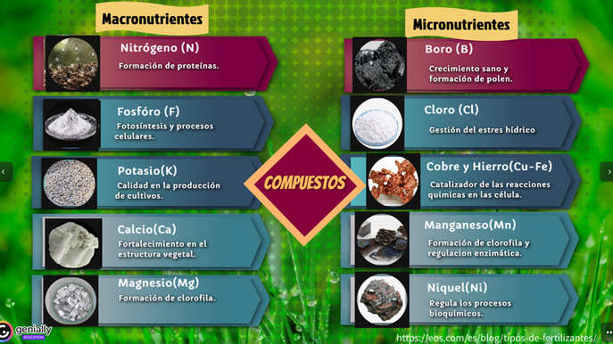 Captura de pantalla 2025-02-09 a la(s) 9.12.54 p.m..png