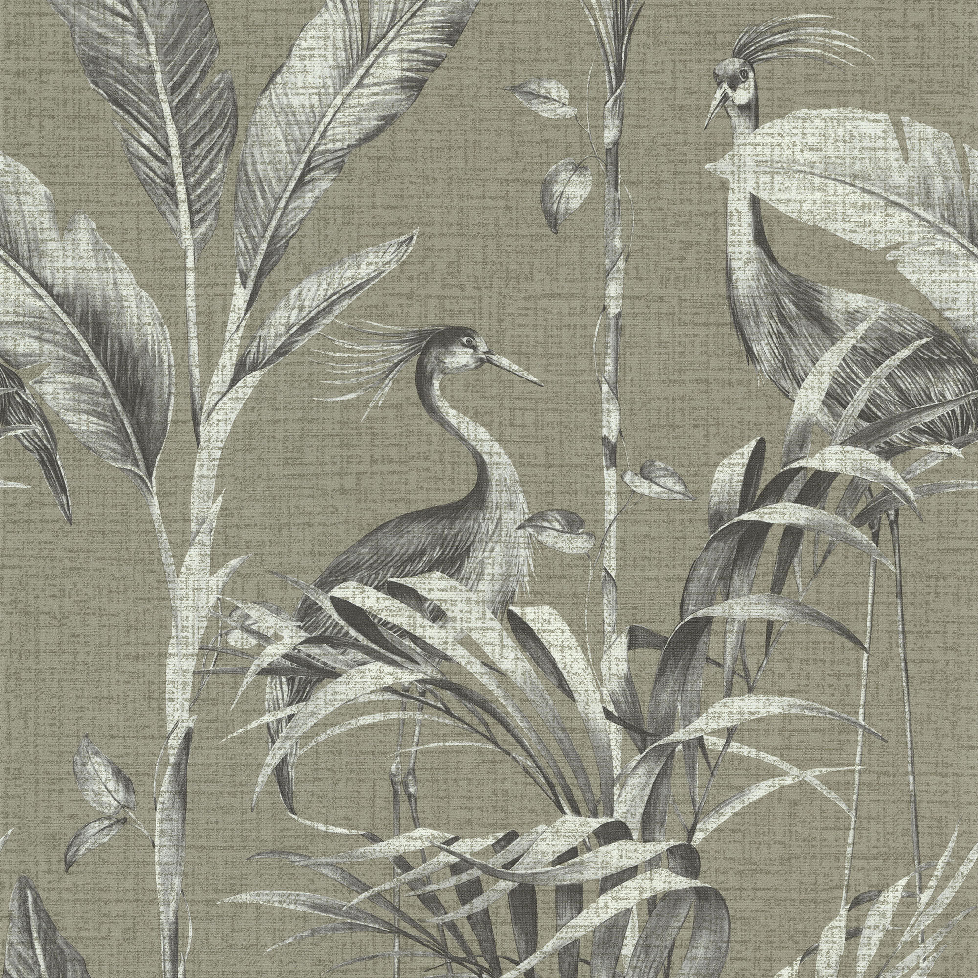 Les Essentiels 11250404