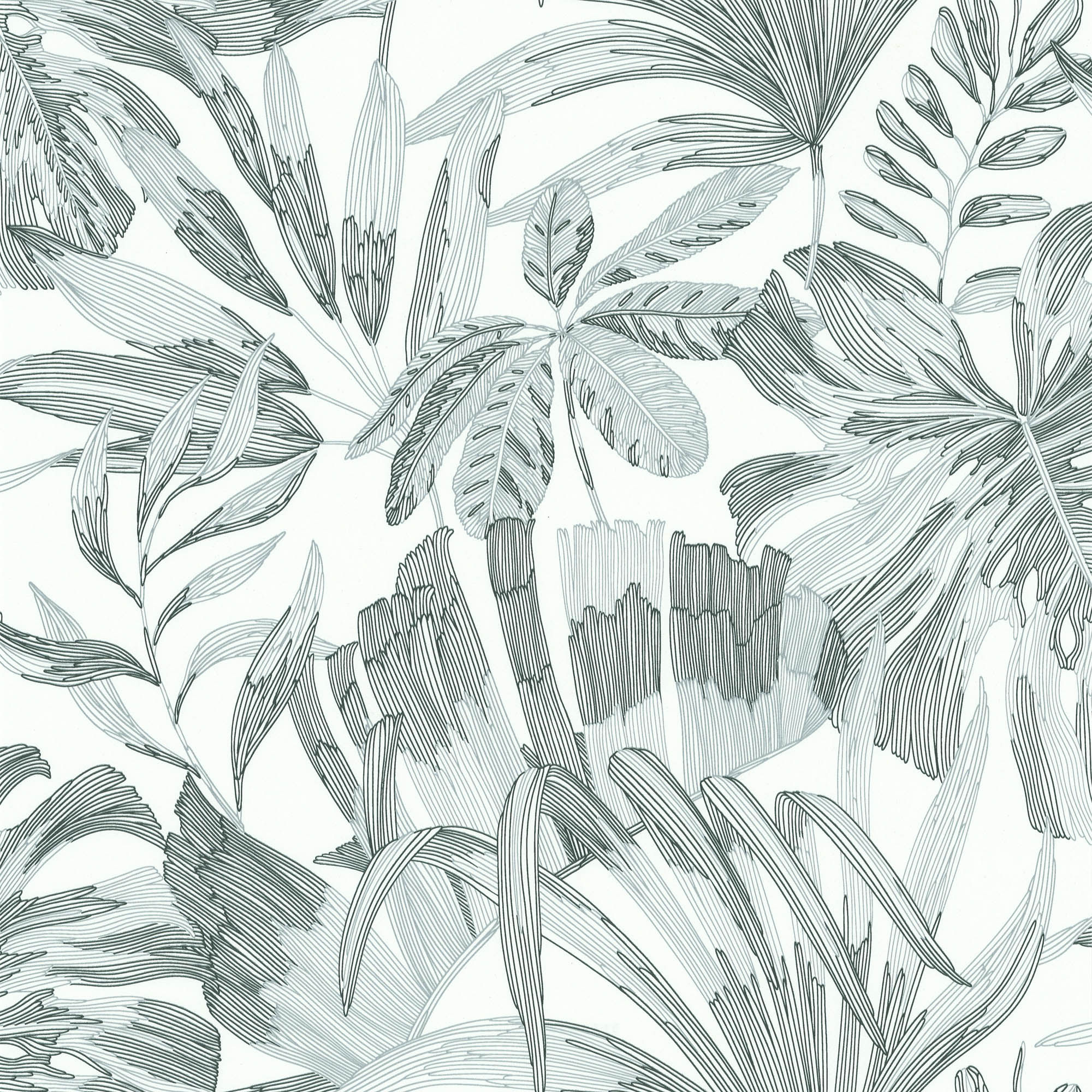 Les Essentiels 51246004