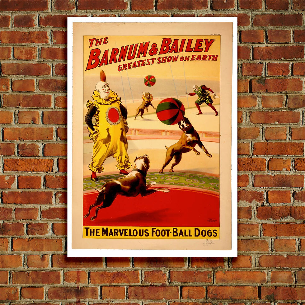 Thumbnail: Circus Poster - Barnum & Bailey, The Marvellous Football Dogs