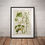 Thumbnail: Botanical Poster - 3 Medicinal Plants