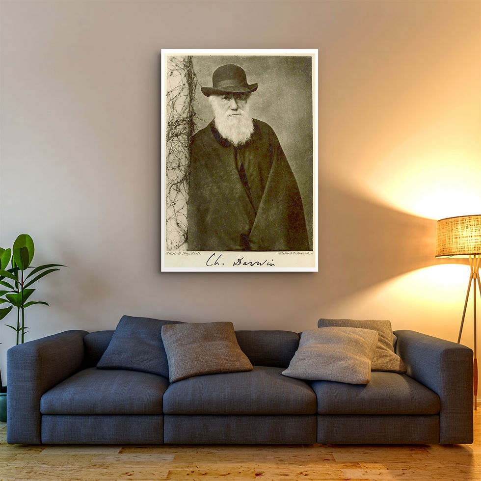 Thumbnail: People Poster - A portrait of Charles Darwin, 1881