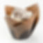 Cuppy Chow