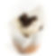 Cookies & Cream Truffle