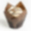 Chocolate Covered Almond