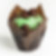 Chocolate Mint Fudge Brownie