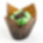 Chocolate Mint Chip