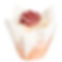 Strawberries & Cream