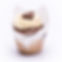 Peanut Butter Chip