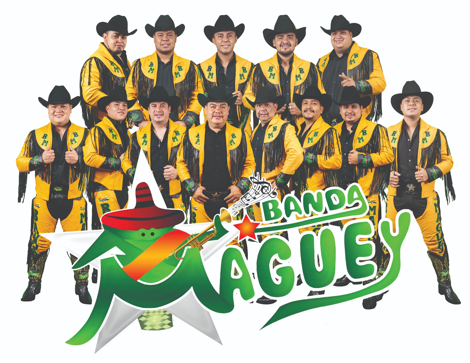maguey