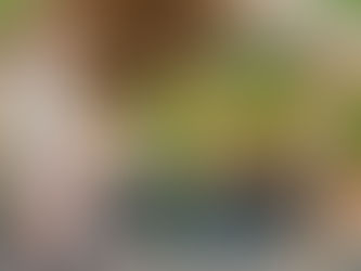 Azure Palm Hot Springs Resort & Day Spa Oasis Recibe Dos Designaciones Nacionales