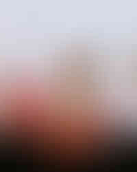 Cortesía de Coachella/ Julian Bajsel