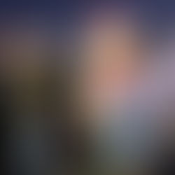 IID ilumina la temporada con su Segundo Festival Anual de Luces