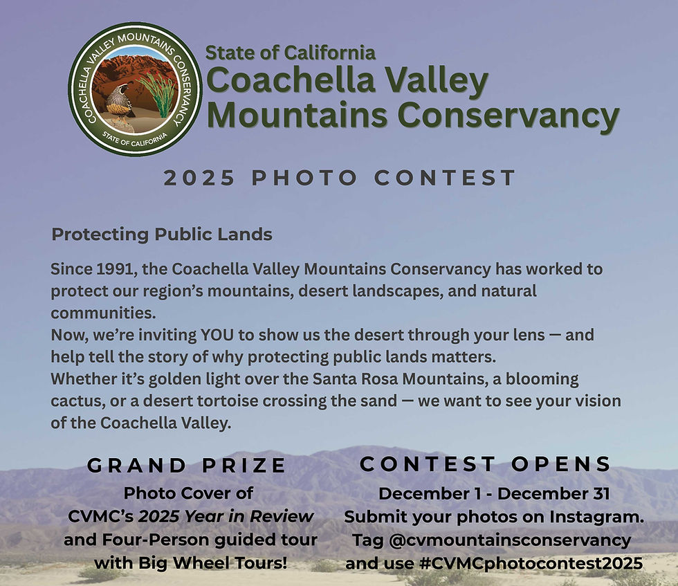 Concurso Fotográfico 2025