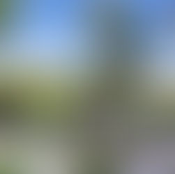 CSUSB acepta solicitudes de admisión para primavera de 2027
