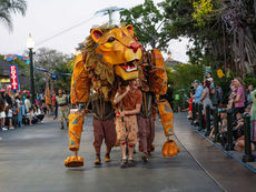 El evento Nighttime Zoo regresa por último año al mundialmente famoso San Diego Zoo