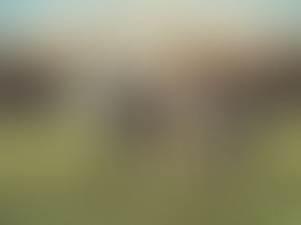 Little Big Town y Journey lideran la serie de conciertos The American Express 2025 en PGA West