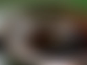 Cuida tus tuberías — ¡Échalo en una lata!