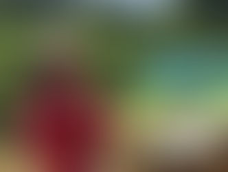 Capturando momentos fugaces: Seven Feathers Restaurant presenta la obra de Richard Fox