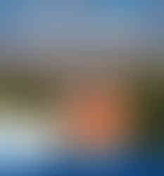 mswd