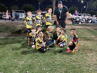 Felicidades al equipo Vipers por obtener el 3er lugar en la categoría 2020/2021.