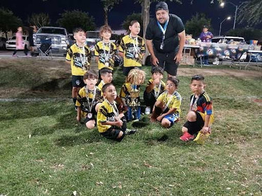 Felicidades al equipo Vipers por obtener el 3er lugar en la categoría 2020/2021.