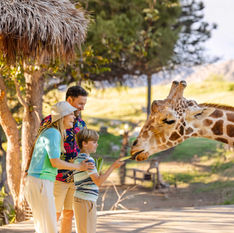 Celebra el Día de la Independencia en The Living Desert