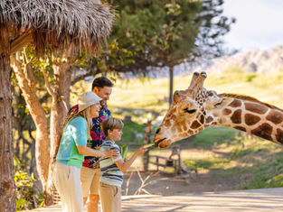 Celebra el Día de la Independencia en The Living Desert