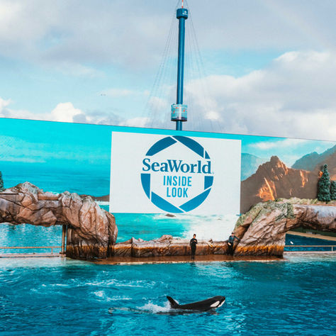 SeaWorld San Diego presenta Inside Look 2026