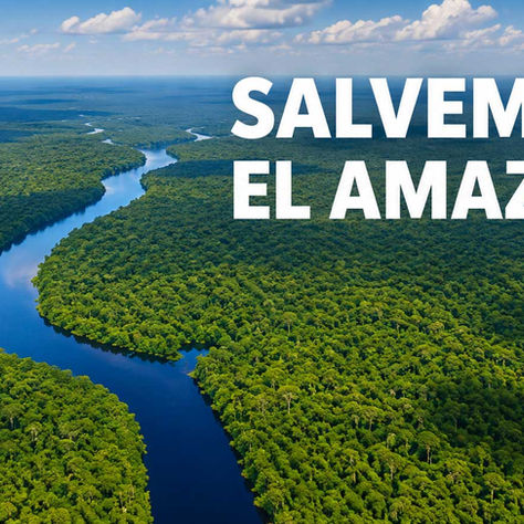 La Dra. Rosa Vásquez Espinoza habla sobre la conservación de la selva amazónica