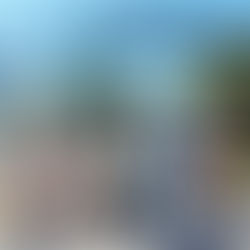 SeaWorld San Diego anuncia carrera 5K Fins & Flippers 2026