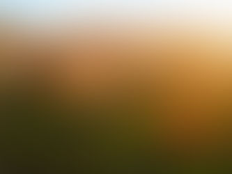 ARRIVAL: Una Serie Documental de Coachella en Cinco Partes