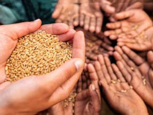 Alimentando a los niños de Gaza: Cuando la hambruna es un imperativo moral