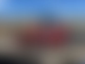 La Escuela Primaria Abraham Lincoln Celebra 100 Días de Aprendizaje con Espíritu Firebird y Hockey