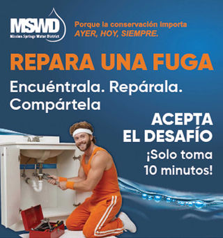 mswd