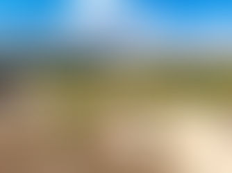 Agustine Band of Cahuilla Indians Organizará la Celebración del Día de la Tierra en la Temalpakh Farm