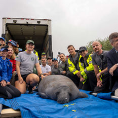 SeaWorld supera 43 mil rescates de animales