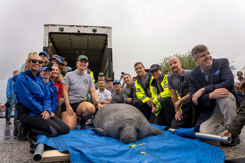 SeaWorld supera 43 mil rescates de animales